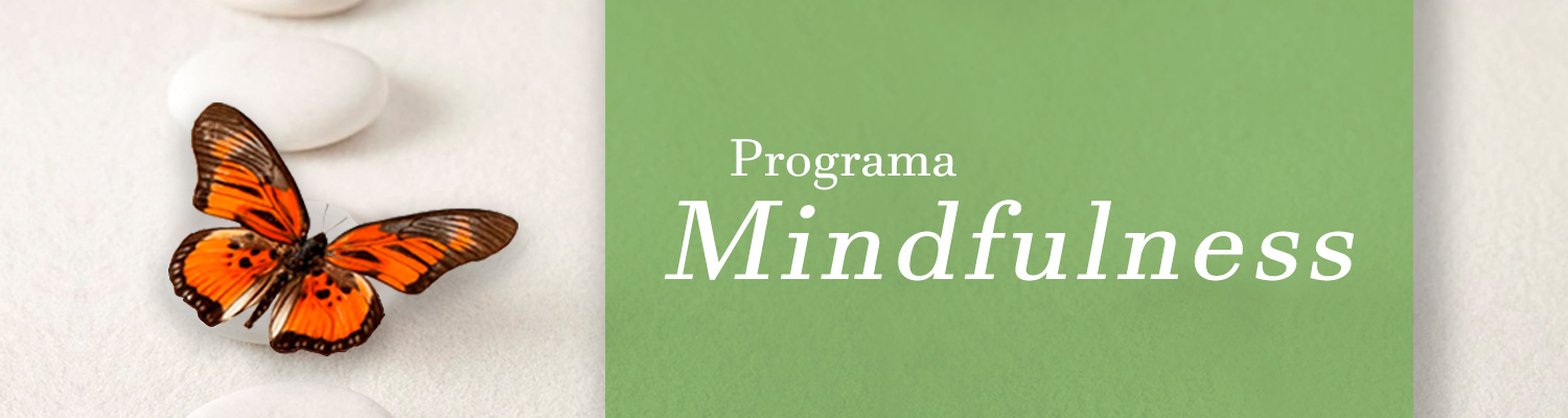 Programa Mindfulness Programa Mindfulness