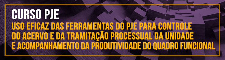 Curso "Uso eficaz das ferramentas do PJe para controle do acervo e da tramitação processual da unidade e acompanhamento da produtividade do quadro funcional"