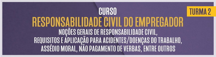 Curso "Responsabilidade civil do empregador: noções gerais de responsabilidade civil, requisitos e aplicação para acidentes/doenças do trabalho, assédio moral, não pagamento de verbas, entre outros" - Turma 2